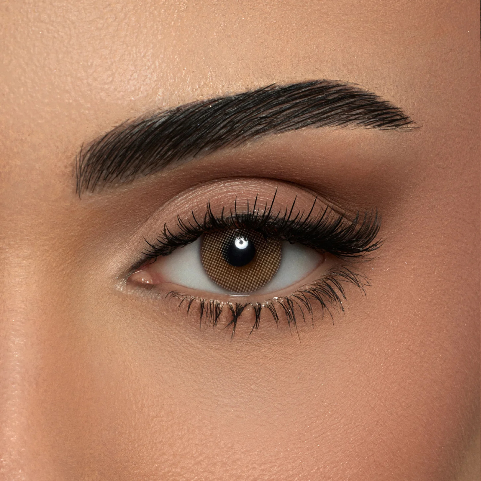 AMARA Contact Lenses – Colored Contact Lens Collection