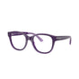FR-LX RAYBAN RY1950 7206 44